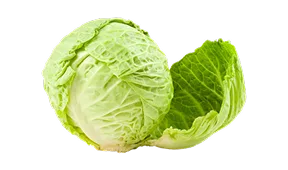 焦点直播 - 28圈